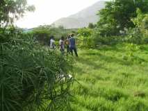 Gonaïves: le jardin scolaire de Terre des Jeunes en vert
